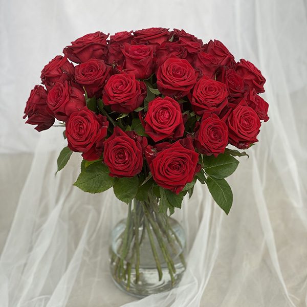 30 czerwonych róż